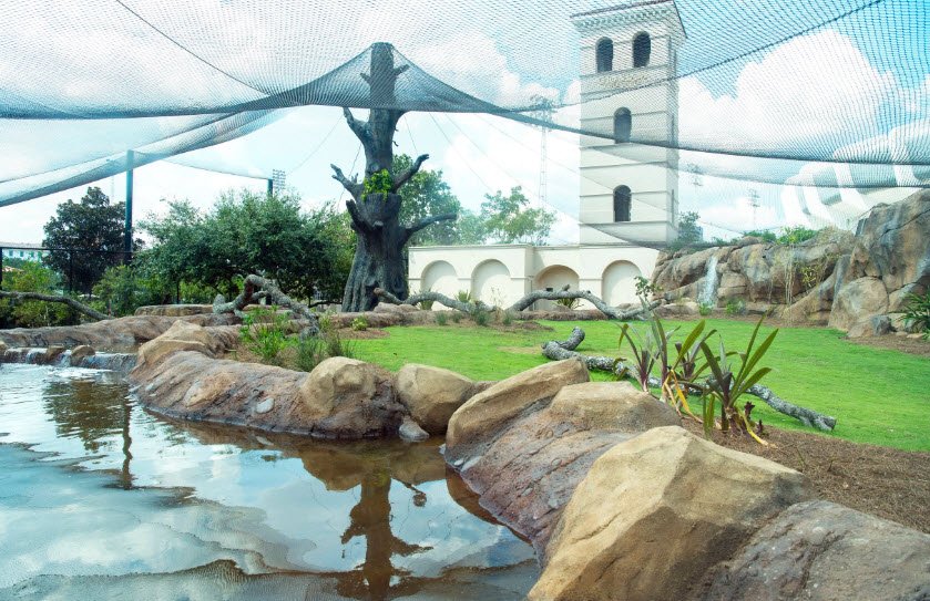 Mike the Tiger's Habitat, Louisiana, USA